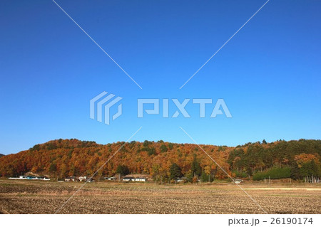 冬近い秋晴れの福島県川内村館山地区の田園風景 冬近い秋晴れの福島県川内村館山地区の田園風景 26190174