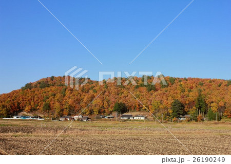 冬近い秋晴れの福島県川内村館山地区の田園風景 冬近い秋晴れの福島県川内村館山地区の田園風景 26190249