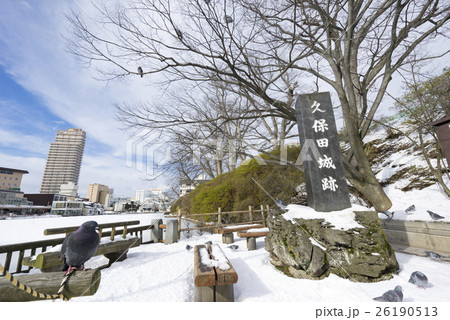 冬の寒さで氷と雪に覆われた晴天の久保田城址大手門の堀と鳩 26190513