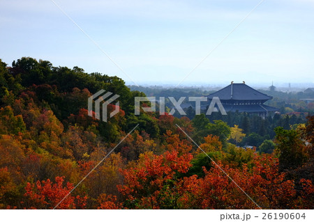 東大寺の秋(奈良市雑司町) 東大寺の秋(奈良市雑司町) 26190604