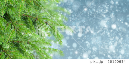 with fir tree and snow with fir tree and snow 26190654