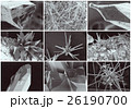 Scientific collage. Crystal in electron microscope 26190700