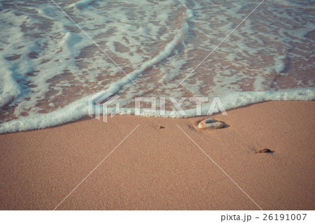 Beach and tropical sea 26191007