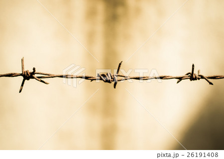 Barb with rusty Barb with rusty 26191408