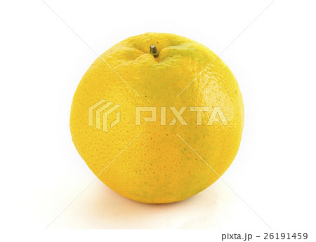 熱帯性 熱帯産 熱帯 26191459