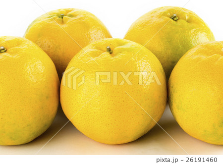 熱帯性 熱帯産 熱帯 26191460