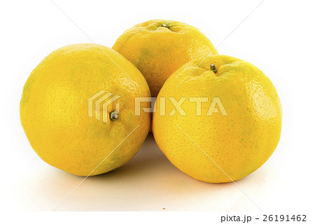 熱帯性 熱帯産 熱帯 26191462