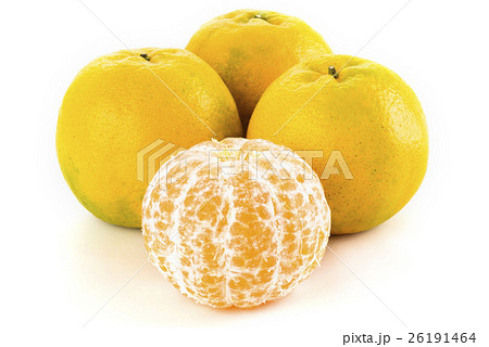 オレンジ色 オレンジ 橙 26191464