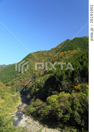 島根県 吉賀町 椛谷渓谷 紅葉の写真素材 島根県 吉賀町 椛谷渓谷 紅葉の写真素材
