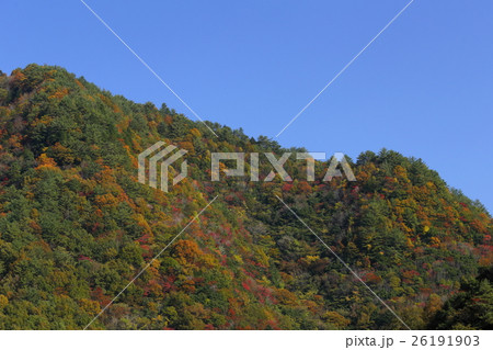 島根県 吉賀町 椛谷渓谷 紅葉の写真素材 島根県 吉賀町 椛谷渓谷 紅葉の写真素材