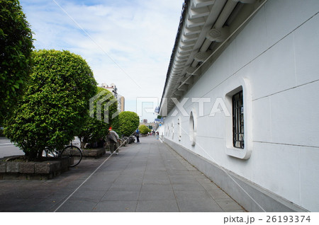 中正記念公園沿い 中正記念公園沿い 26193374