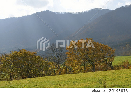 鬼首の紅葉・鳴子温泉鬼首（宮城県） 26193858