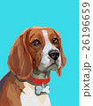 Low poly portrait of beagle dog. 26196659