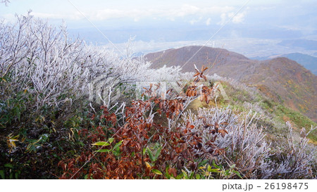 霧氷咲く八海山 26198475