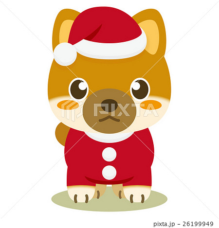 いぬっこ倶楽部 クリスマス 柴犬 26199949