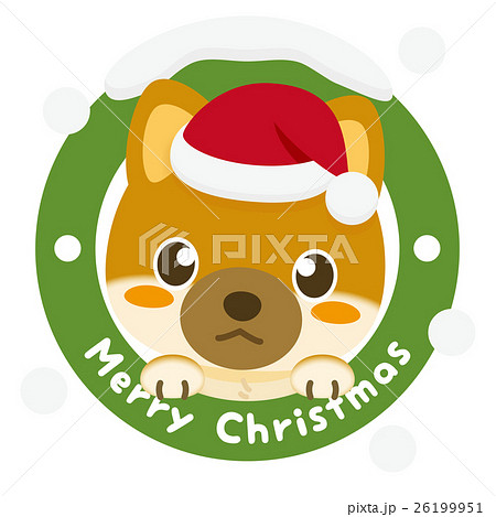 いぬっこ倶楽部 クリスマス 柴犬 26199951