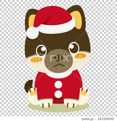 いぬっこ倶楽部 クリスマス 柴犬（黒） 26200040