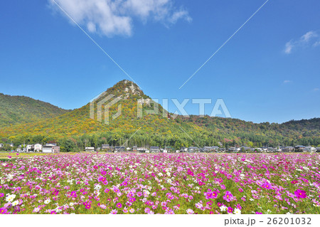 秋の太郎坊宮 秋の太郎坊宮 26201032