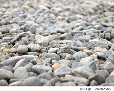 伊勢神宮の玉砂利を踏んで 26202505