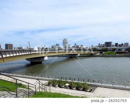 桜橋/隅田川 桜橋/隅田川 26202703