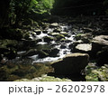 赤目四十八滝 26202978