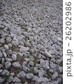 敷石 26202986