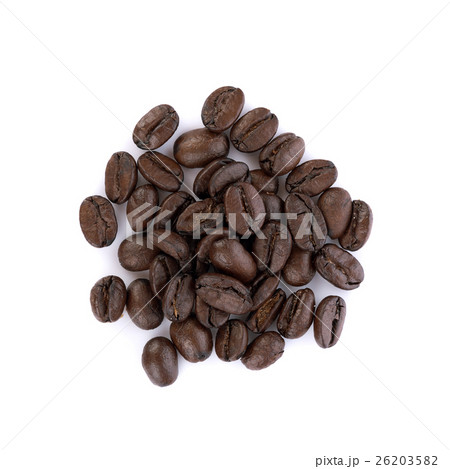 coffee bean on white background coffee bean on white background 26203582