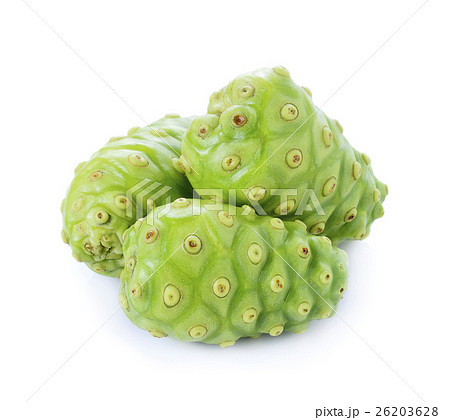 Noni isolated onwhite background 26203628