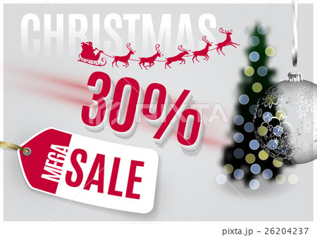 Vector Christmas Tag 26204237