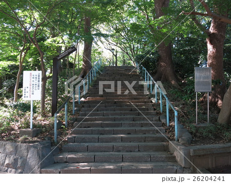 上野公園にある摺鉢山古墳 26204241