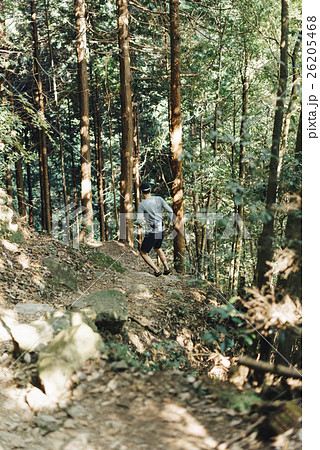 トレイルラン トレイルラン 26205468