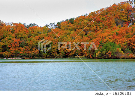 秋の潟沼と紅葉 秋の潟沼と紅葉 26206282