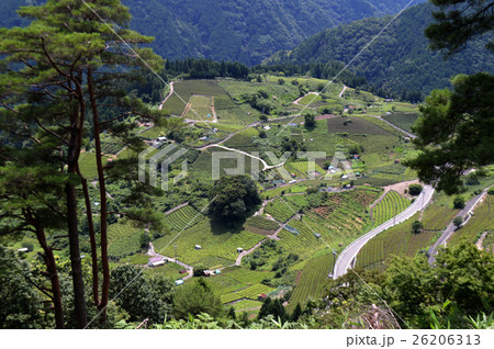 岐阜県 春日村 天空の里 26206313