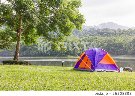 Dome tents camping in forest 26208808