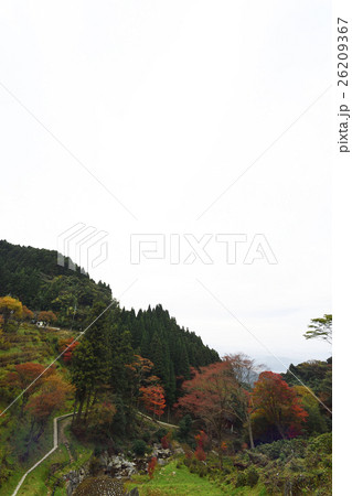 白糸の滝 白糸の滝 26209367