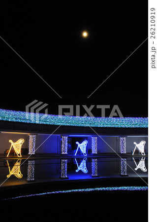 神戸イルミナージュ 26210919