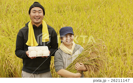 お米の収穫 ポートレート お米の収穫 ポートレート 26211147
