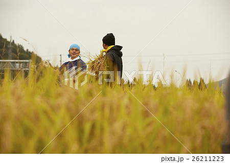 農業ヘルパー イメージ 農業ヘルパー イメージ 26211223