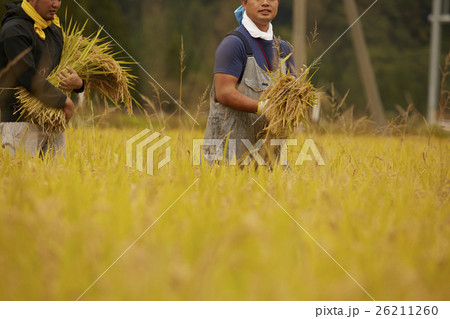 農業ヘルパー　イメージ 26211260