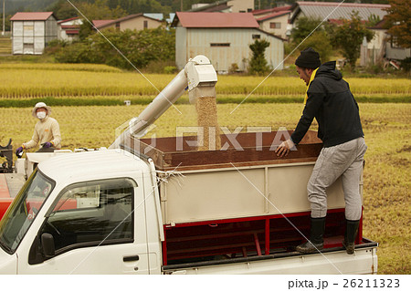 お米の収穫　コンバイン 26211323