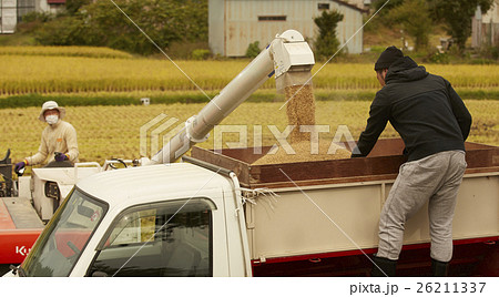 お米の収穫　コンバイン 26211337