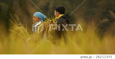 農業ヘルパー　イメージ 26211355