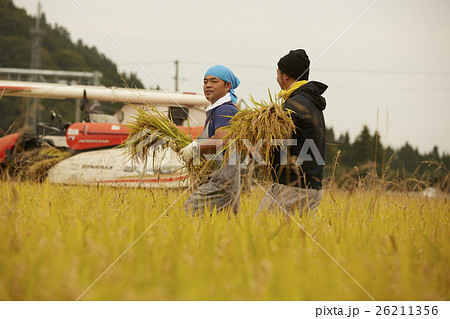 農業ヘルパー イメージ 農業ヘルパー イメージ 26211356