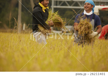 農業ヘルパー　イメージ 26211401