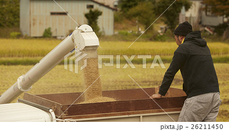 お米の収穫 コンバイン お米の収穫 コンバイン 26211450