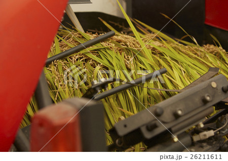 農業　イメージ 26211611