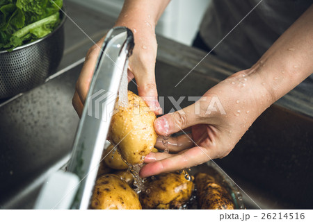 じゃがいも 26214516