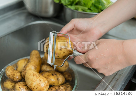 じゃがいも 26214530