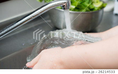洗う 洗う 26214533
