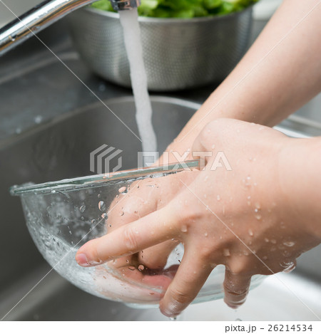 洗う 26214534